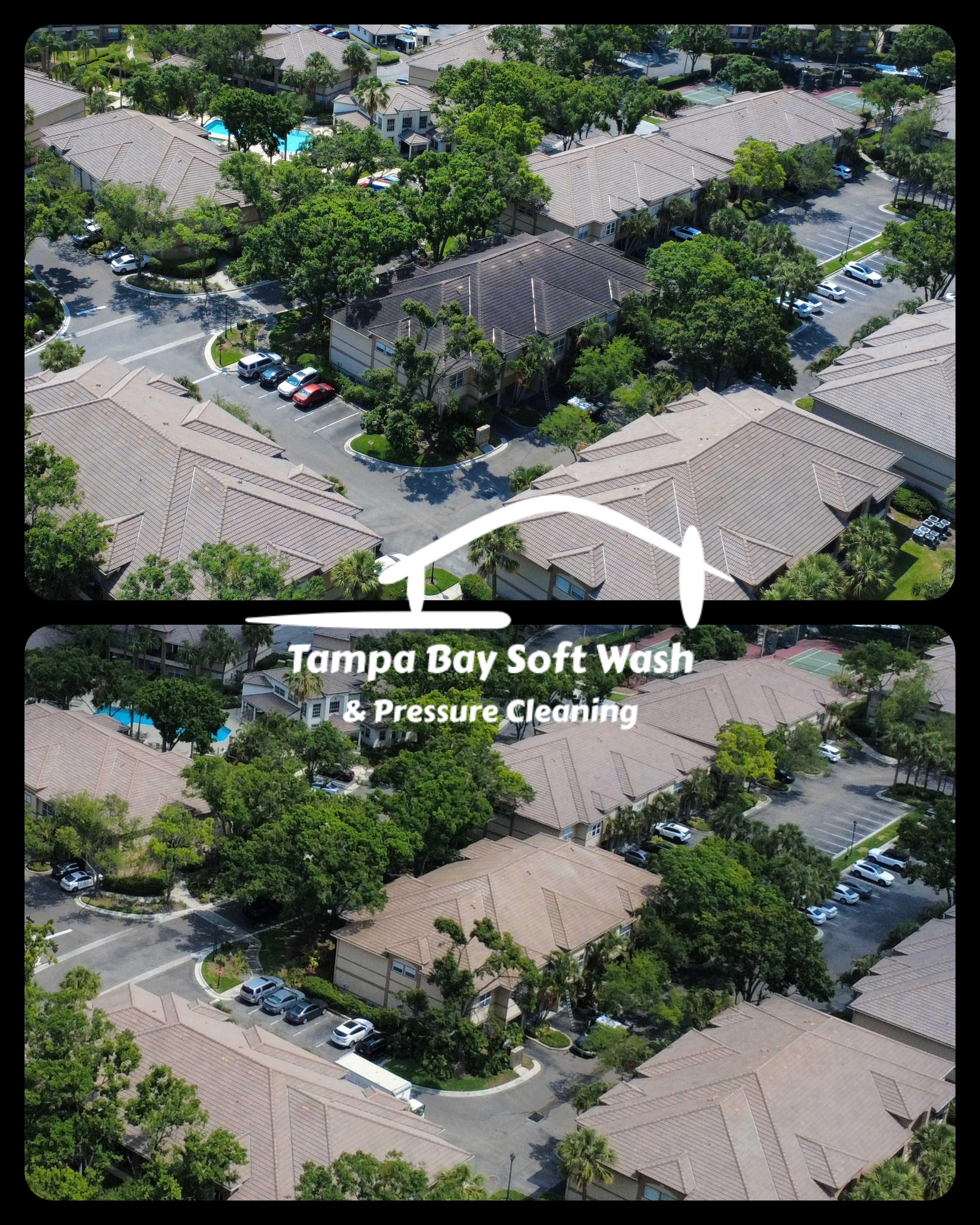 The Property Manager's Blueprint: How to Eradicate Roof Algae and Prevent Mass Insurance Cancellations in Florida