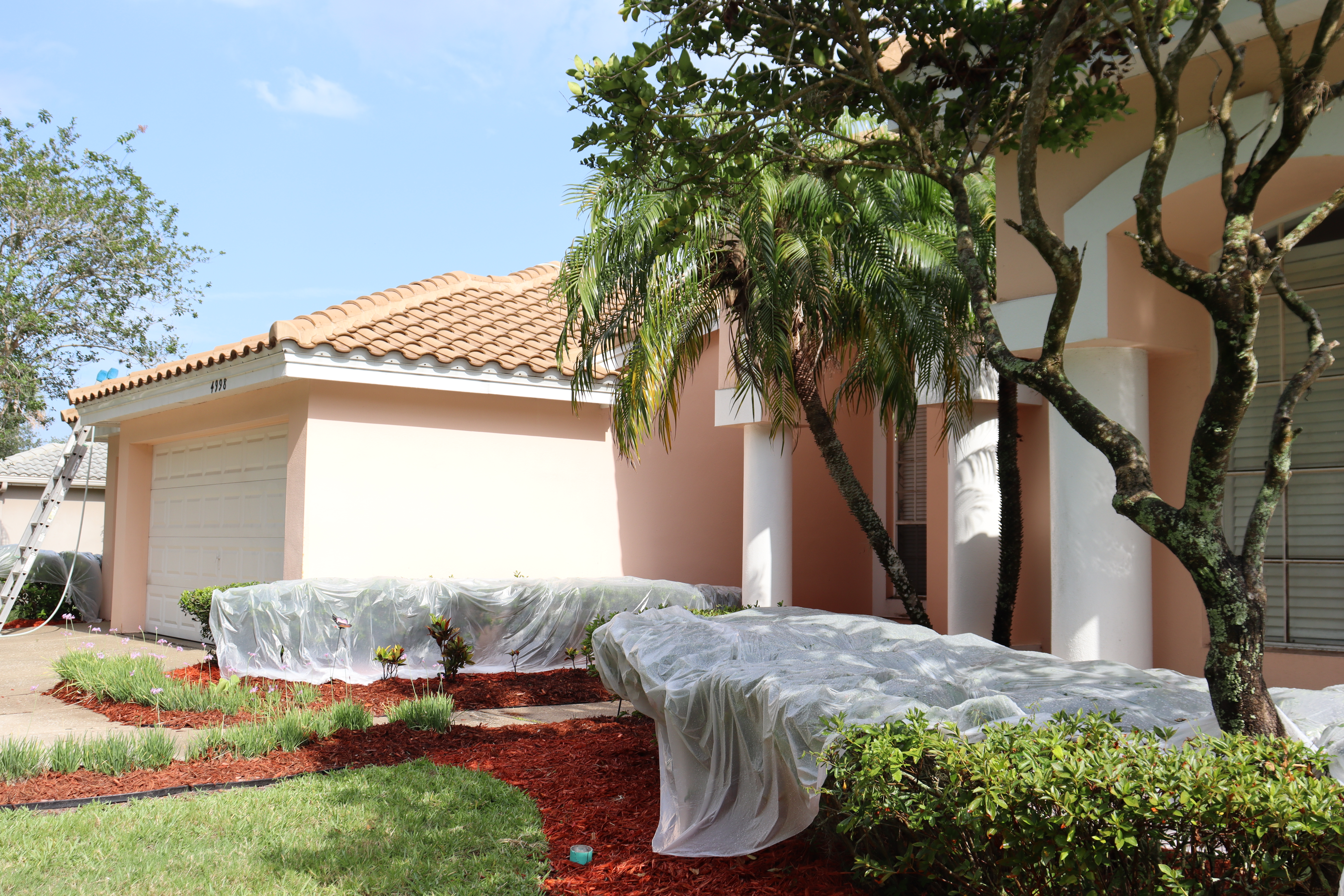 Painter's plastic covering delicate landscaping during a soft wash roof cleaning
