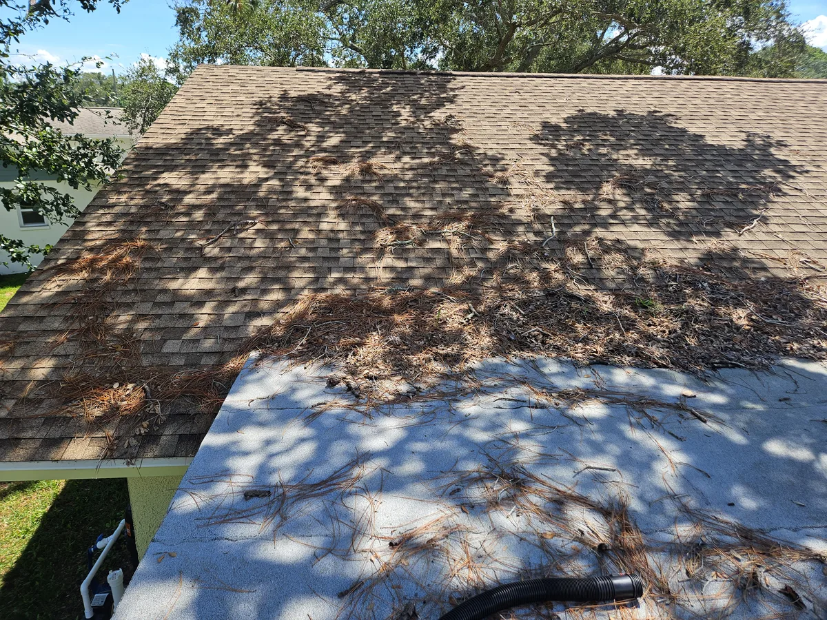 Gutter Cleaning Debris Removal Clearwater