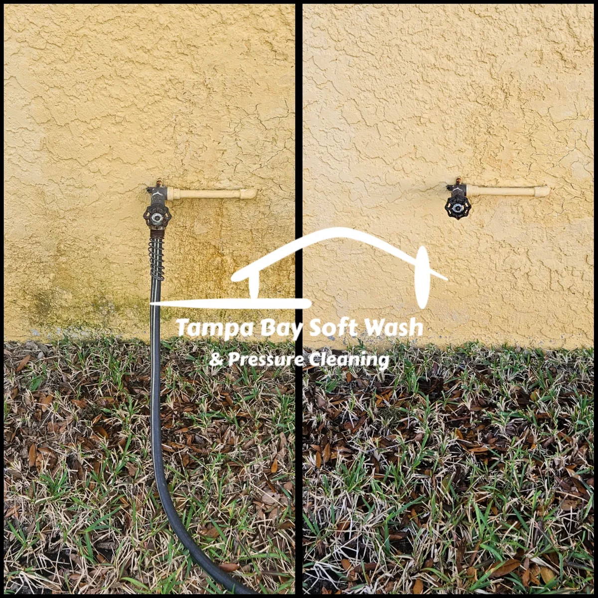 Oldsmar Soft Wash House Wash FL