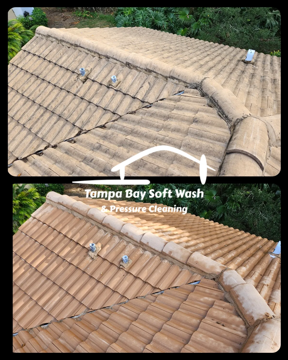 Palm Harbor Roof Cleaning FL