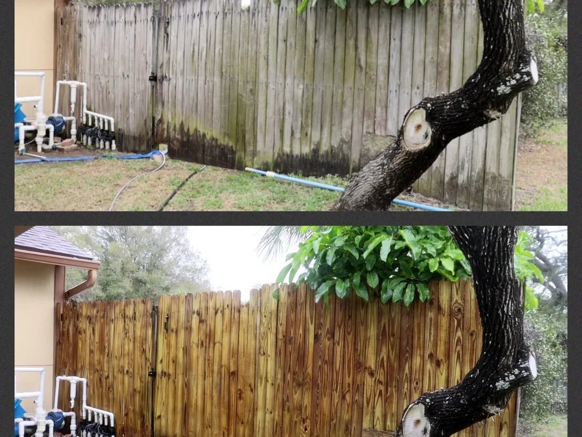 Safety Harbor Wood Fence Restoration FL