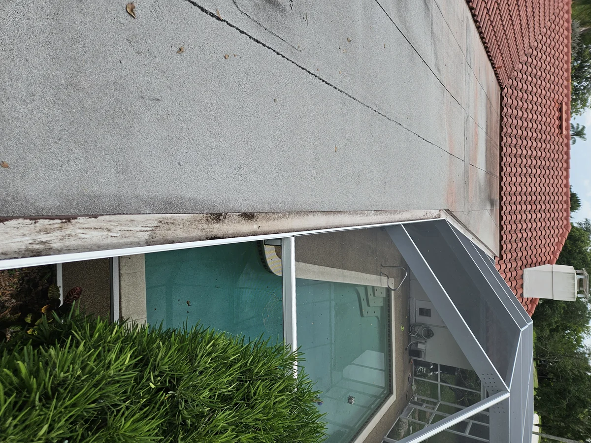 Clearwater Gutter Cleaning After 1