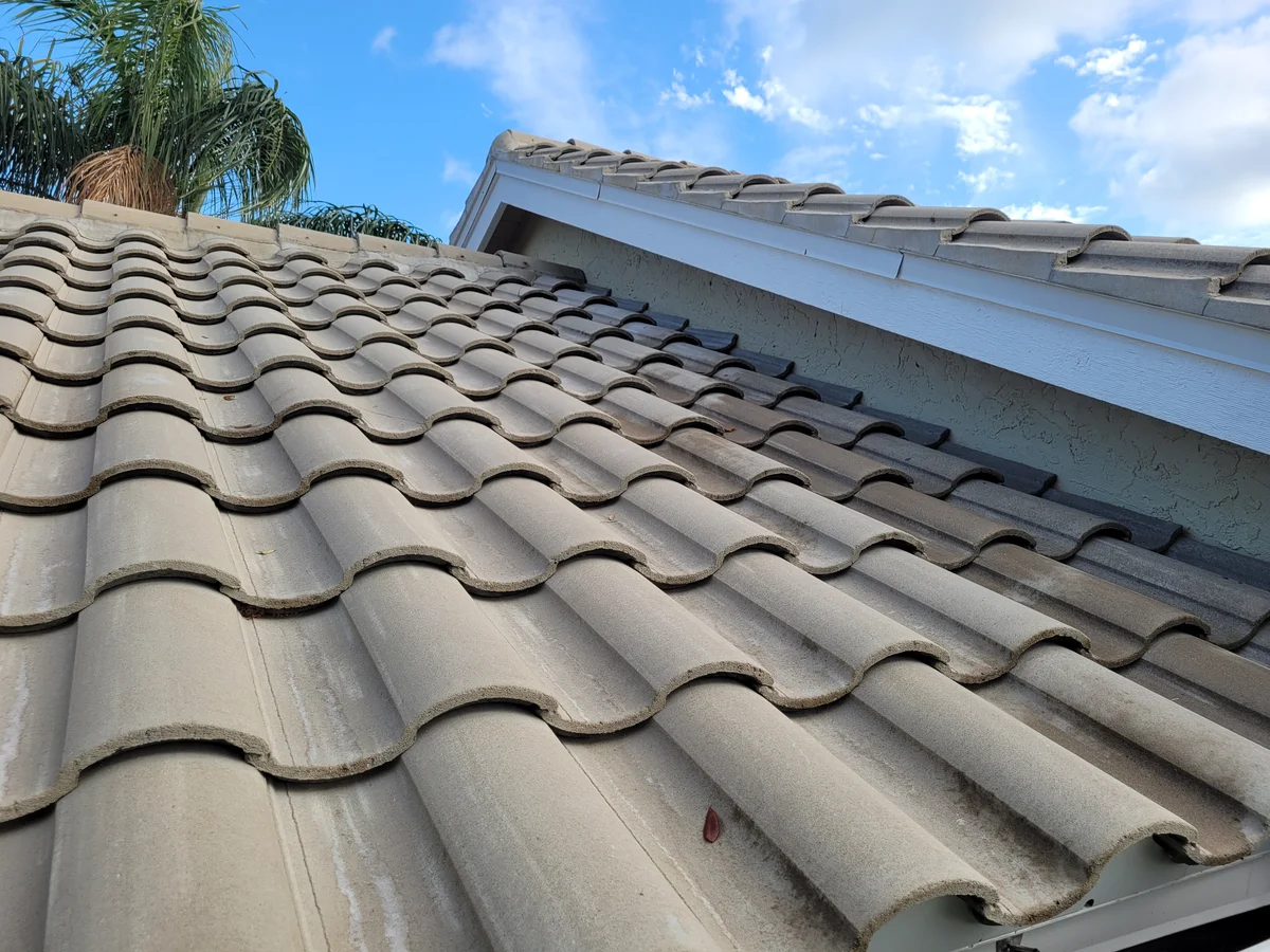 Tampa Bay Roof Soft Washing After 901