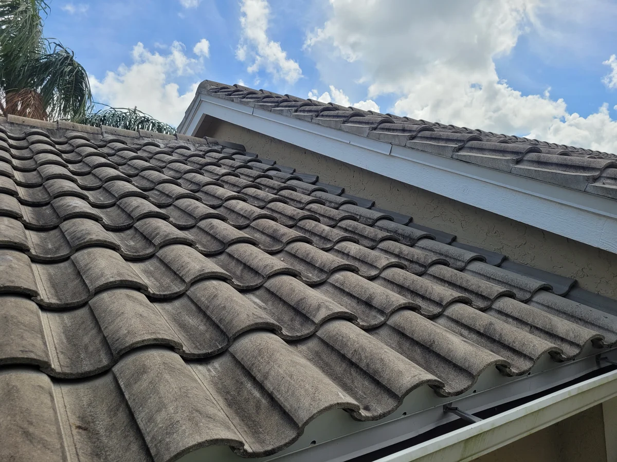 Tampa Bay Roof Soft Washing Before 901