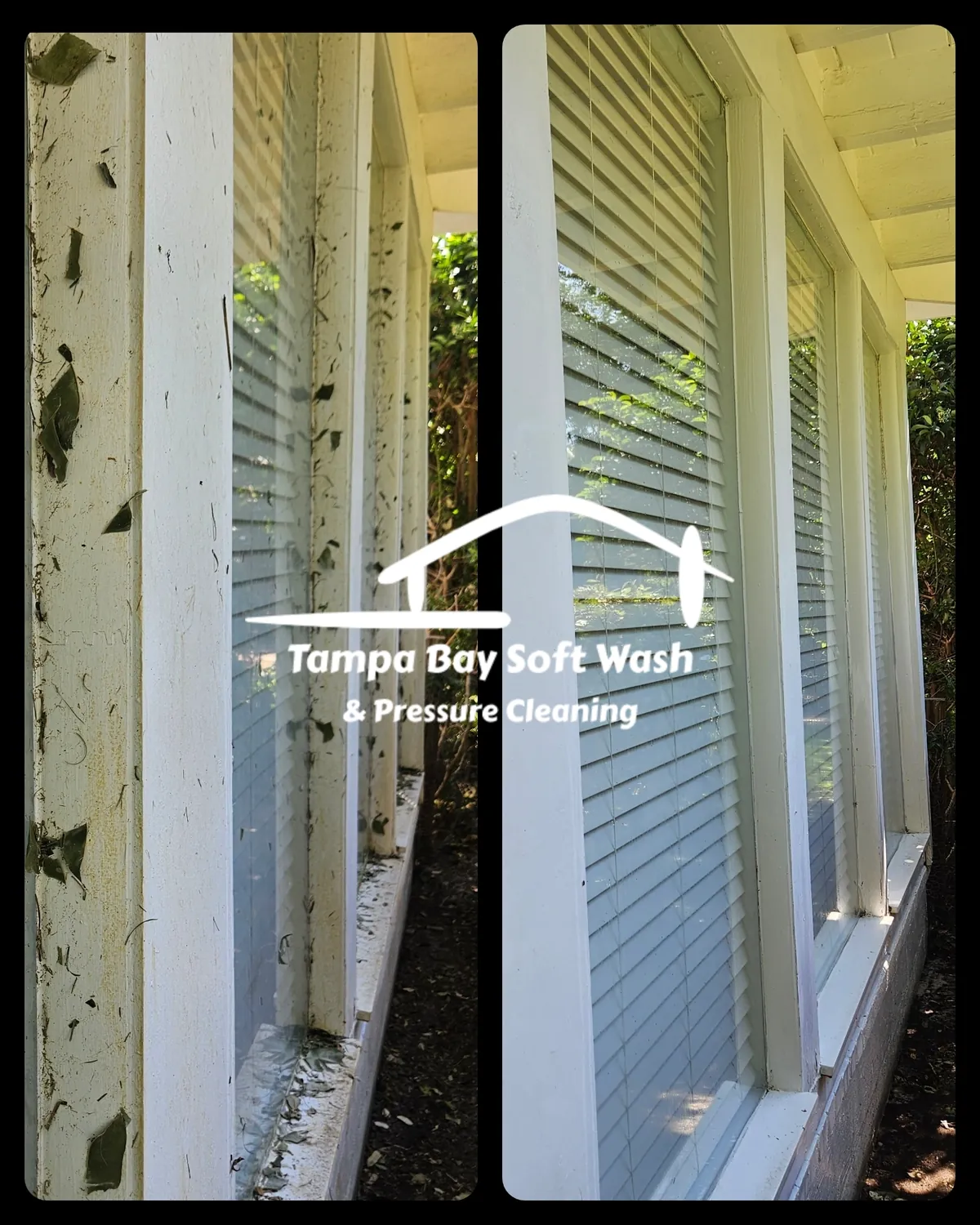 Large white house after professional soft wash cleaning in Tampa Bay