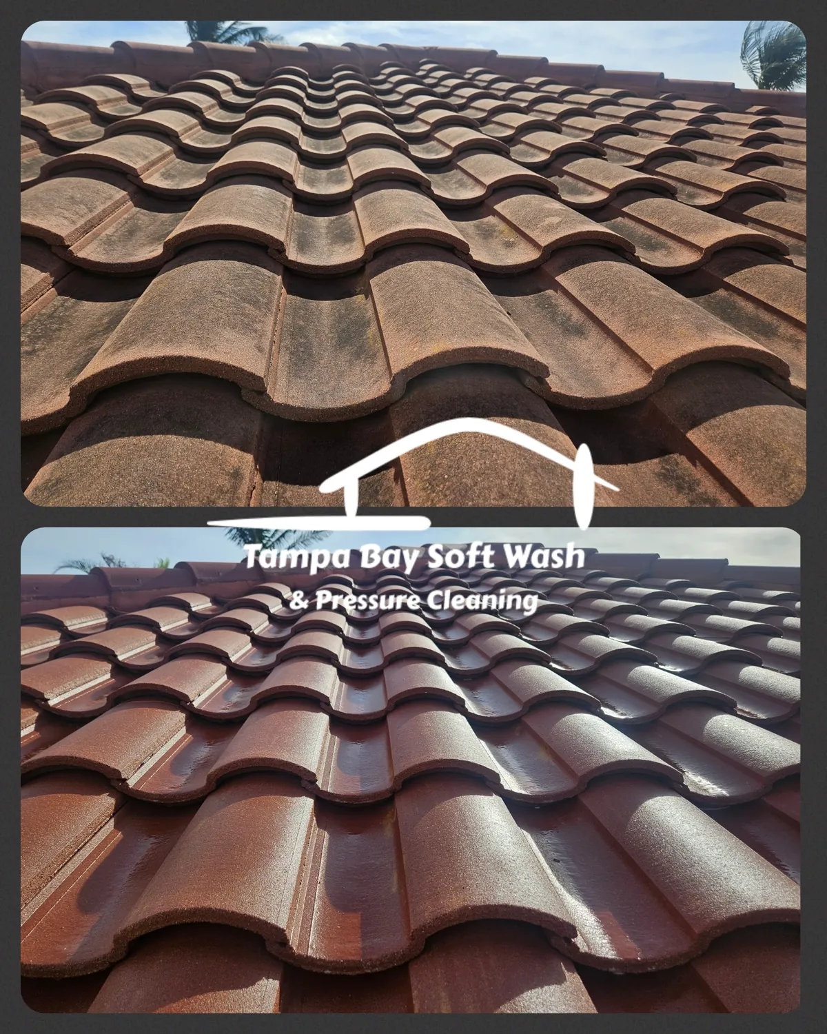 Soft Wash Roof Cleaning Belleair Beach FL