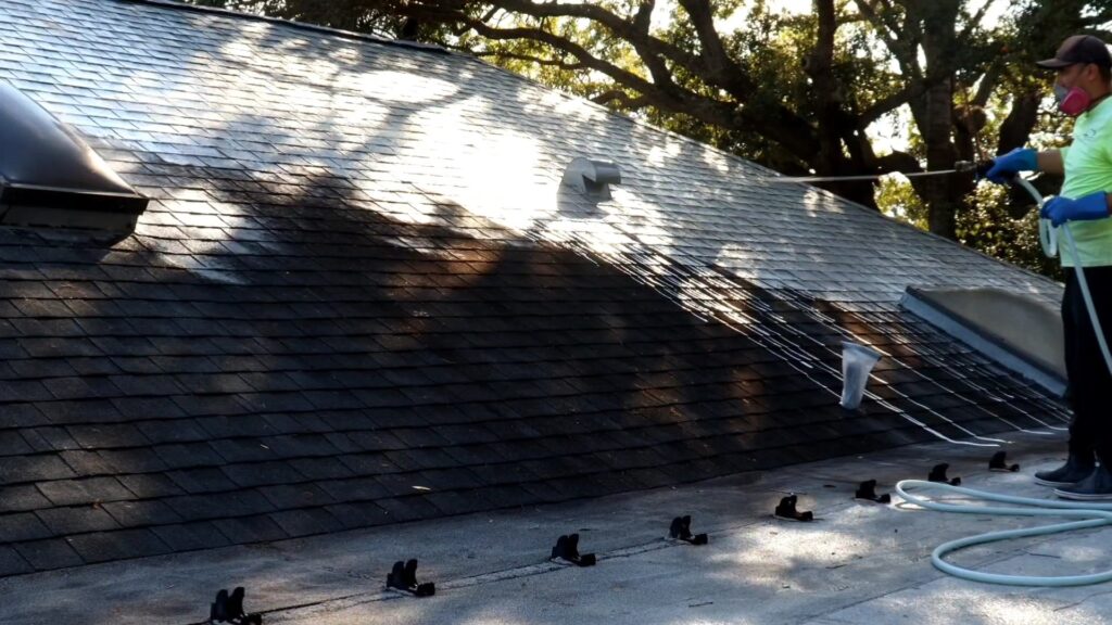 3 Reasons to Hire a Professional Roof Washer