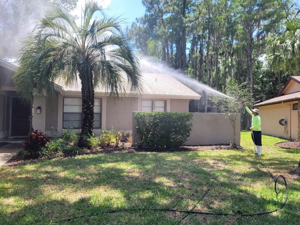 Tampa Bay Soft Wash & Pressure Cleaning DIY Cleaning Solutions