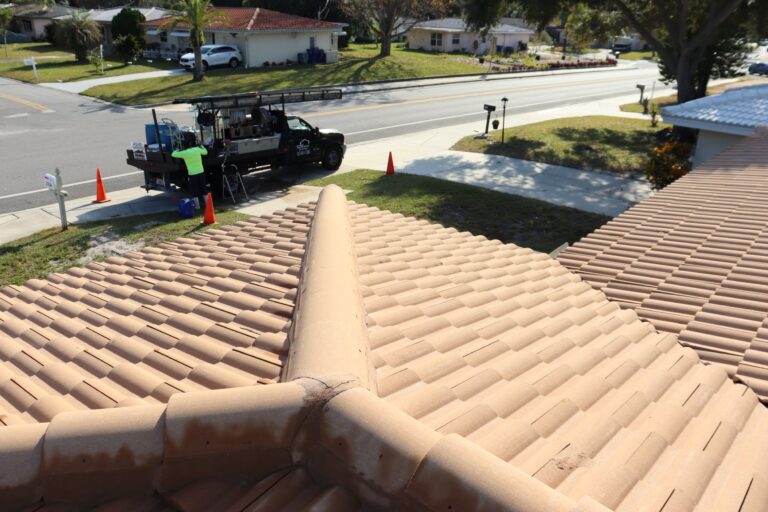 brown tile roof after roof cleaning service