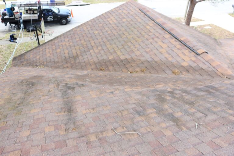shingle roof before roof cleaning service