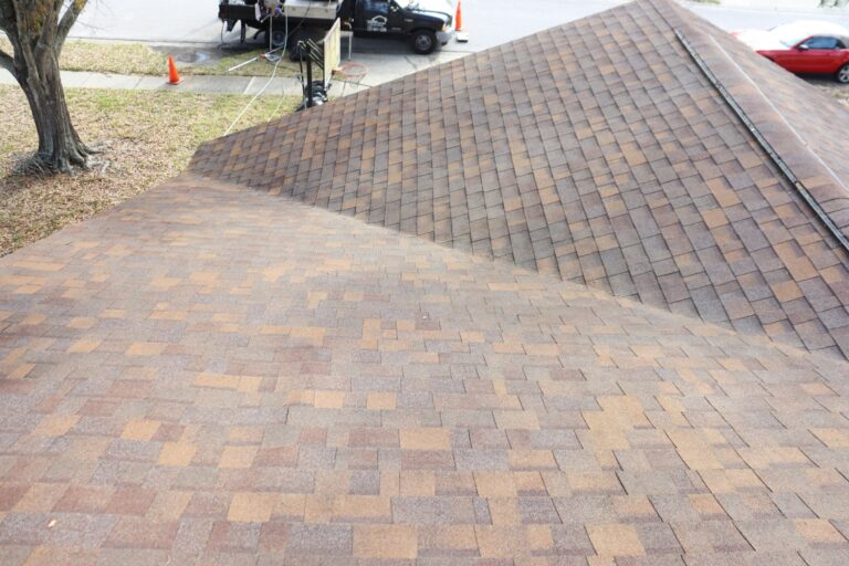 shingle roof after roof cleaning service