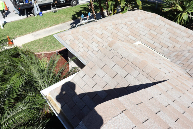 light shingle roof after roof cleaning service