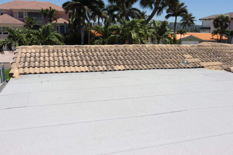 dirty painted tile roof before roof cleaning service