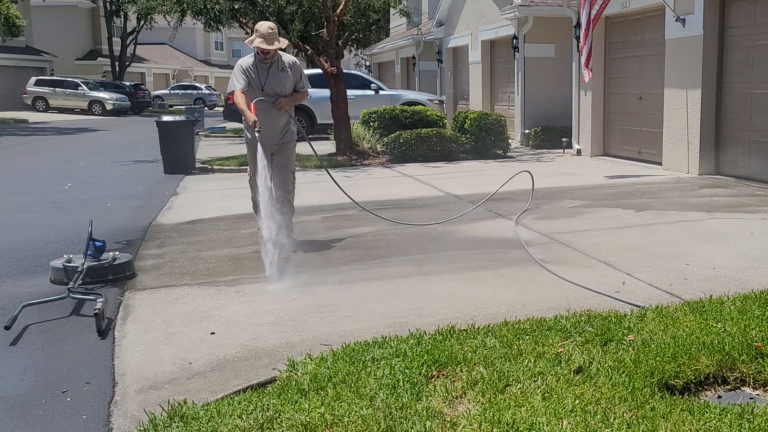 Driveway and Walkway Pressure Washing Service for Lake Pointe at Countryside (Palm Harbor, FL)
