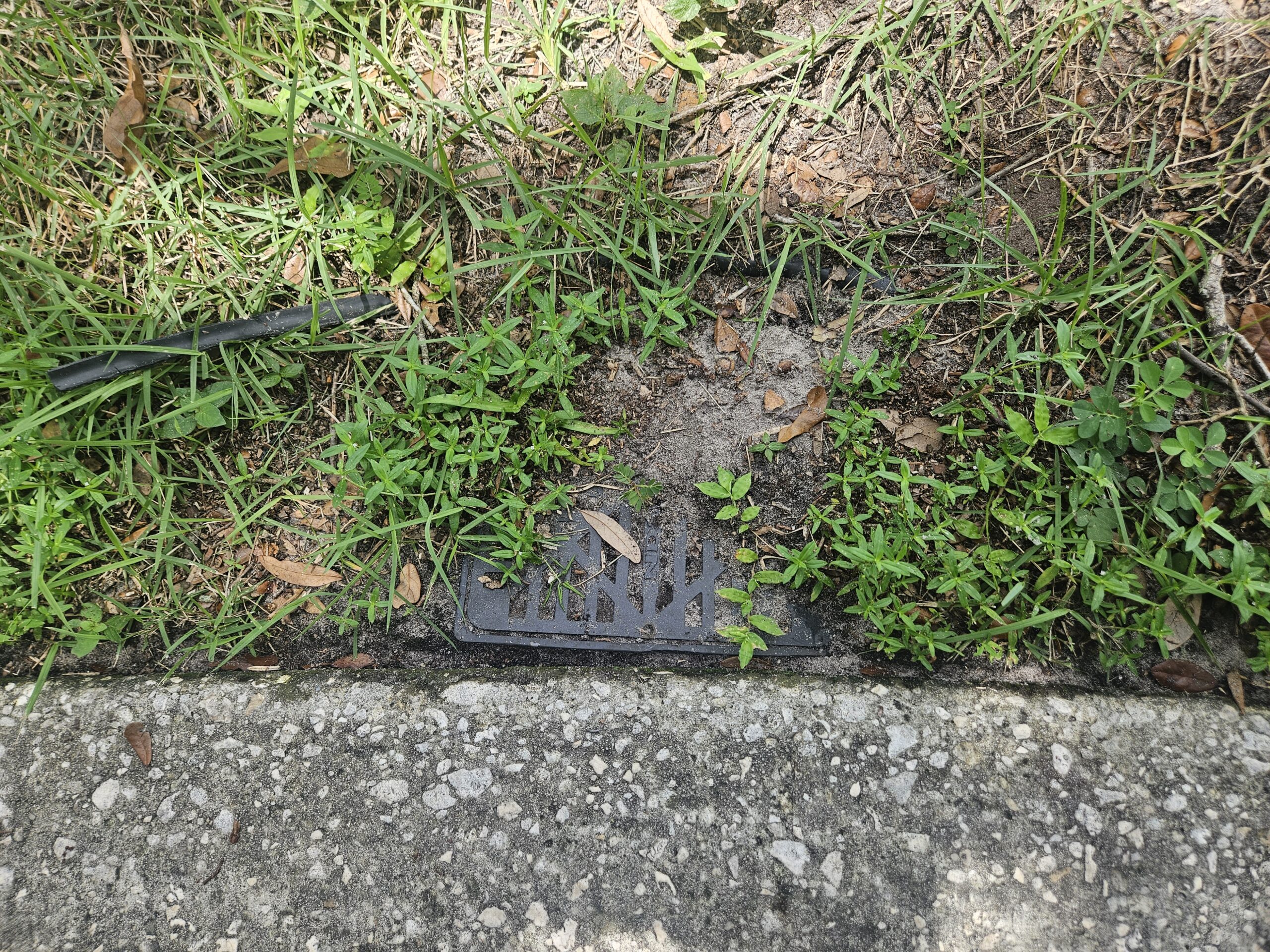 French drain completely clogged with dirt and roots