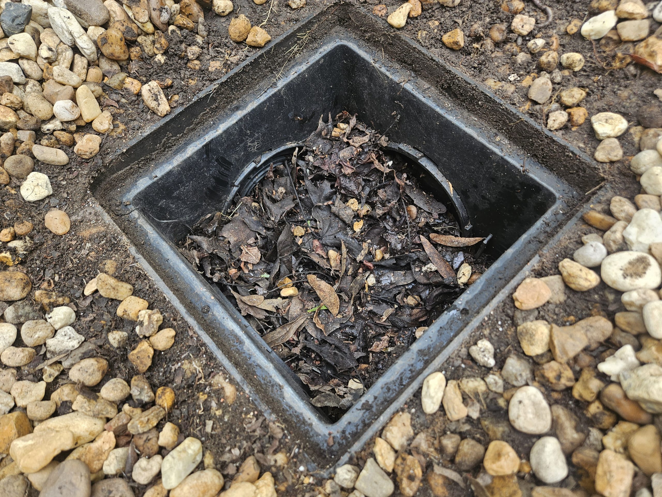 French drain clogged with leaves
