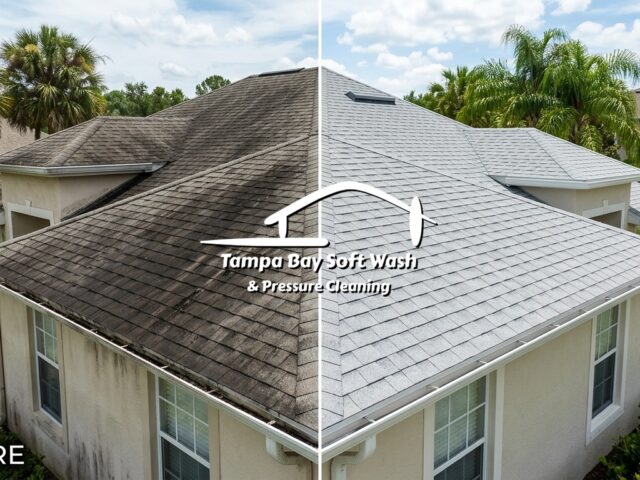 The Property Manager’s Blueprint: How to Eradicate Roof Algae and Prevent Mass Insurance Cancellations in Florida