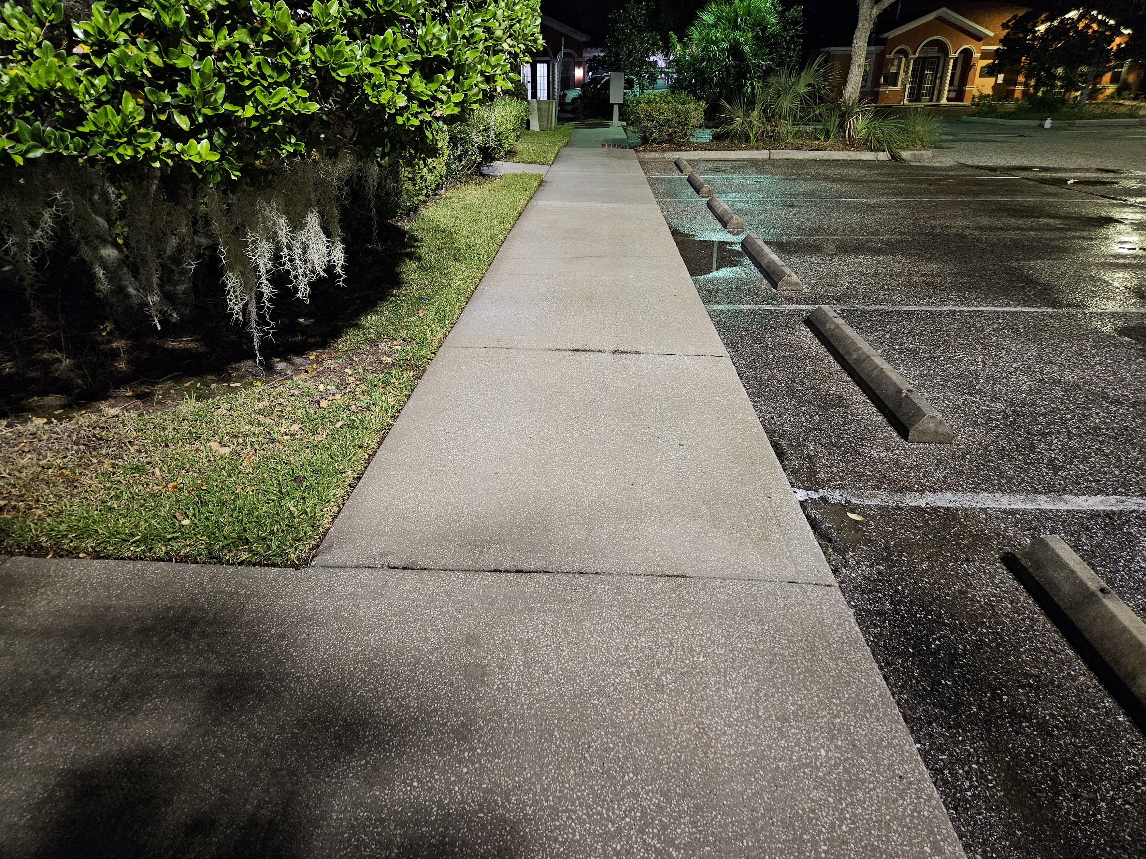 Clean commercial sidewalk after pressure washing in New Port Richey