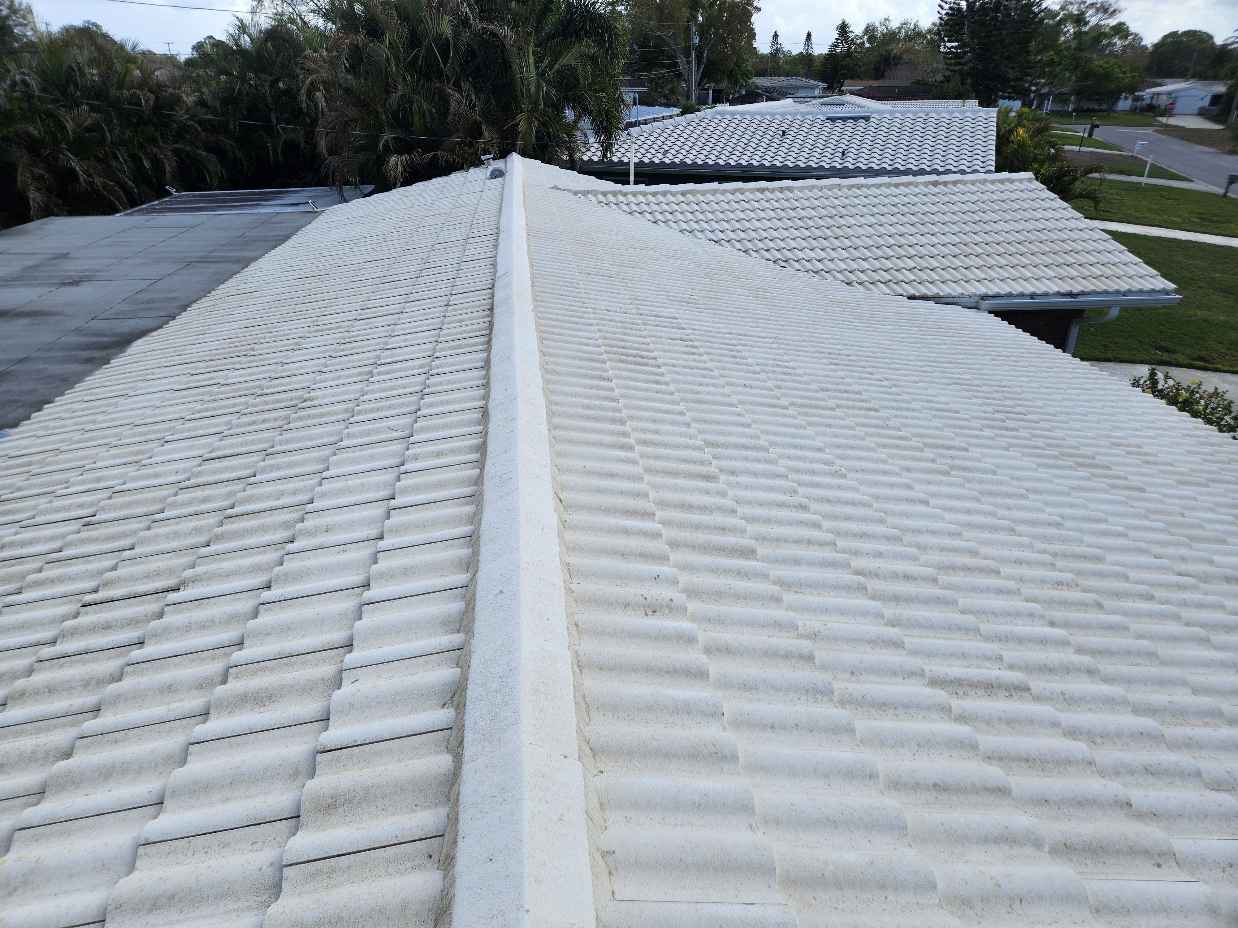 Clean barrel tile roof after soft wash in Pinellas County