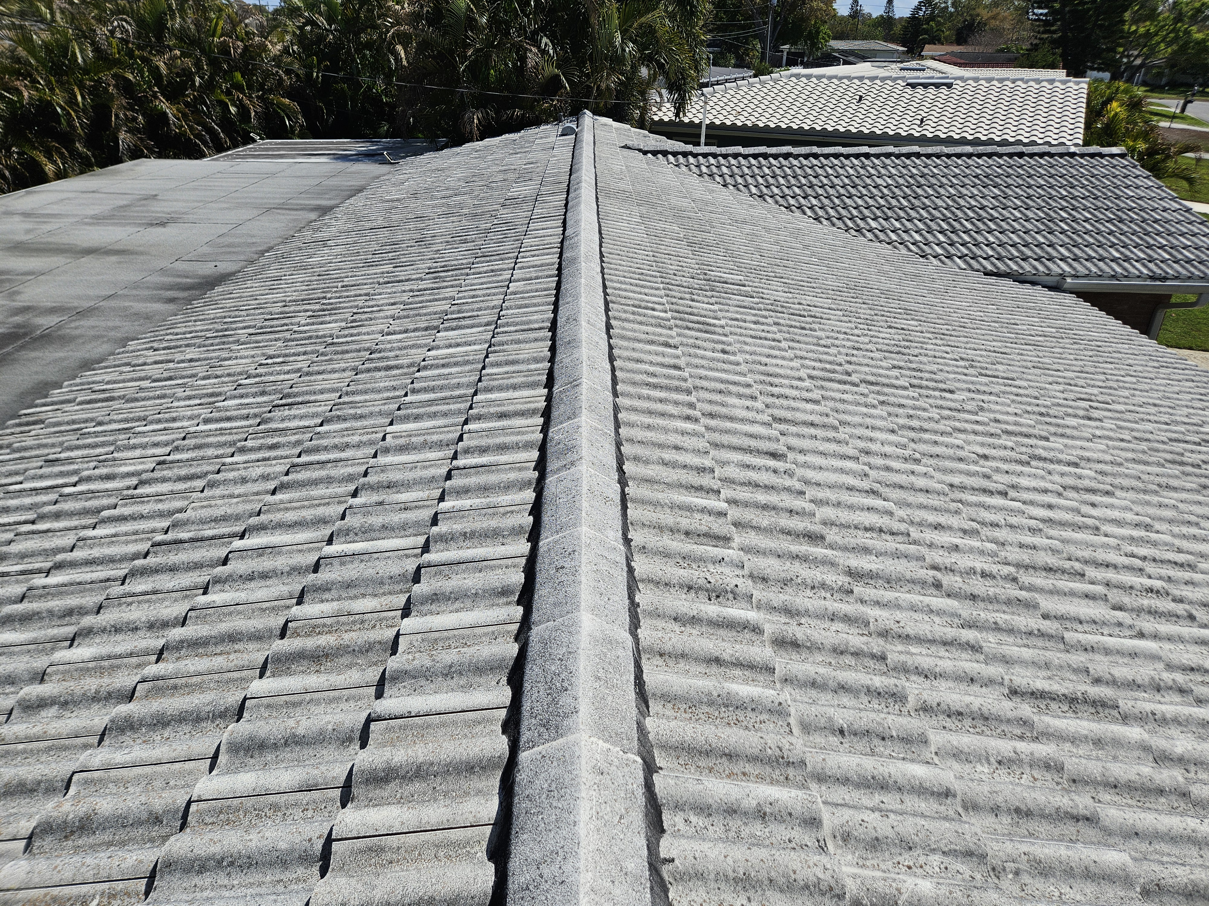 Dirty roof with black streaks before soft wash